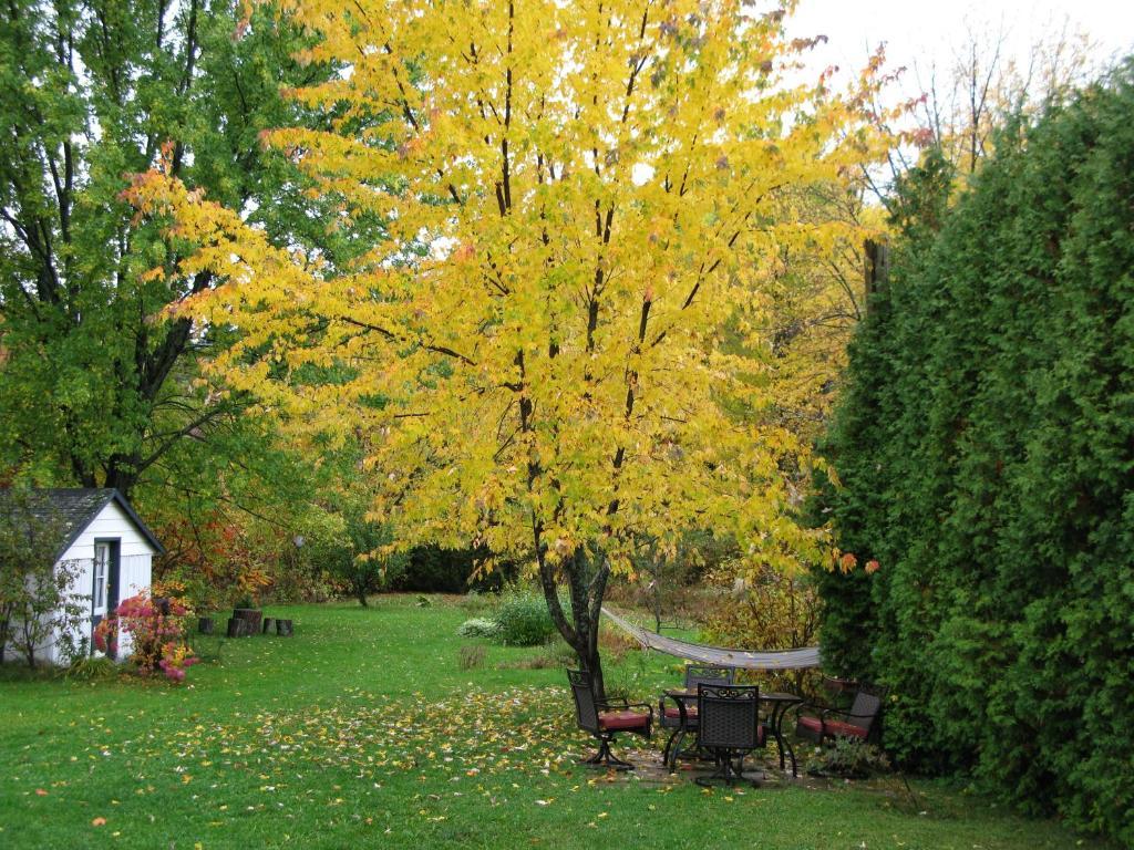 Gite Aux Traditions Saint-Jean-des Piles Bagian luar foto